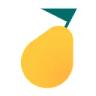 Логотип Pyrus